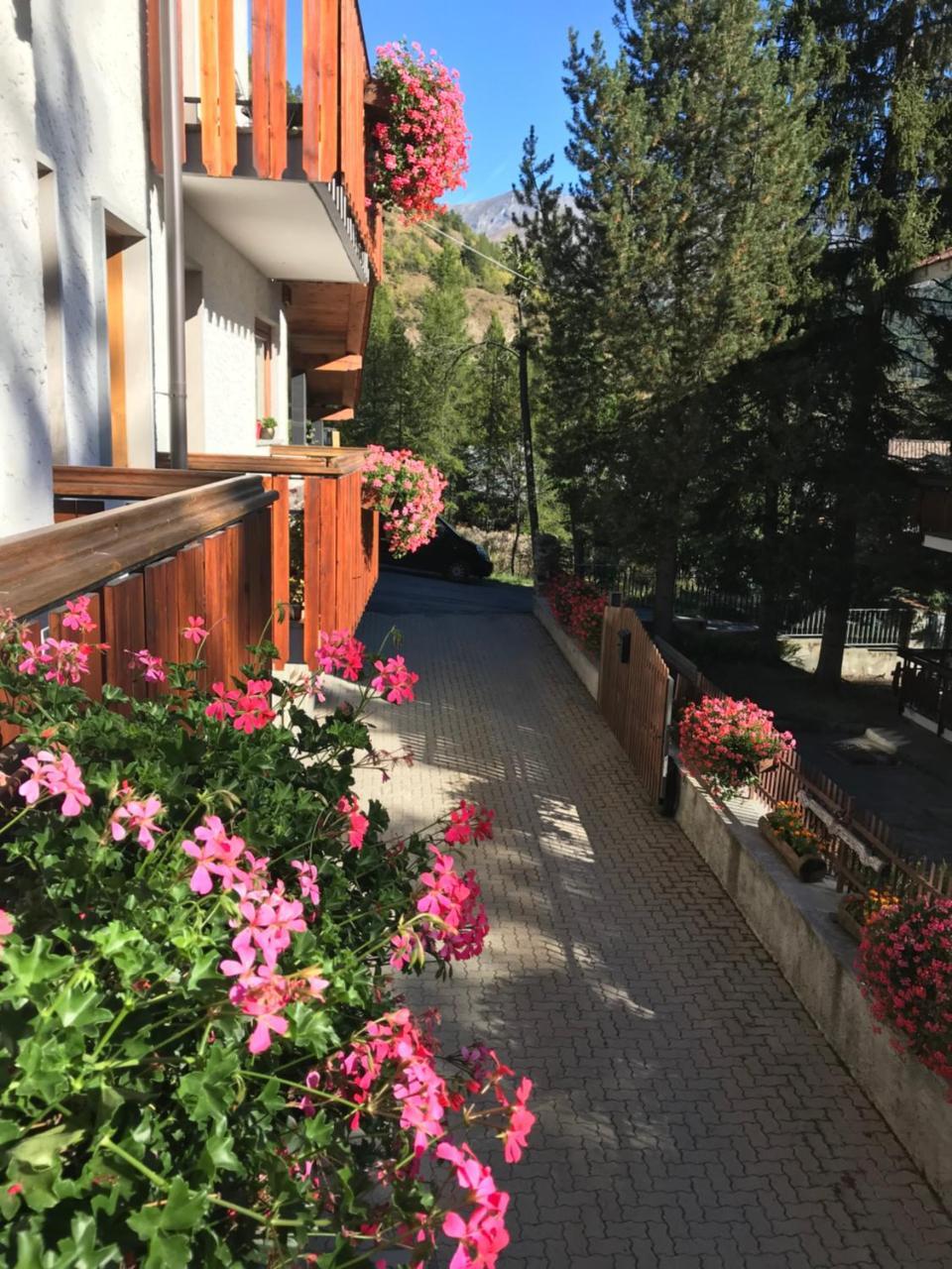 Hotel La Nigritella Bardonecchia Bagian luar foto